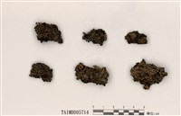 藏品(成長梅衣)的圖片